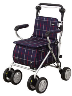 シルバーカーテイコブST07の画像