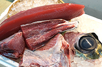 美ら海マグロづくしセット並【並マグロ1ｋｇ・カマ・目玉・脳天・尾の身　各800ｇ】