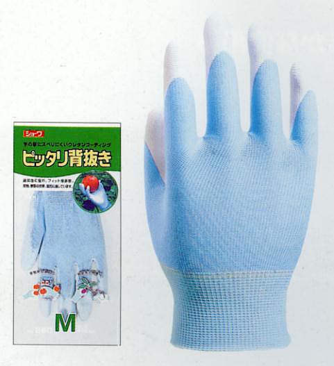 showa_pittari260.jpg