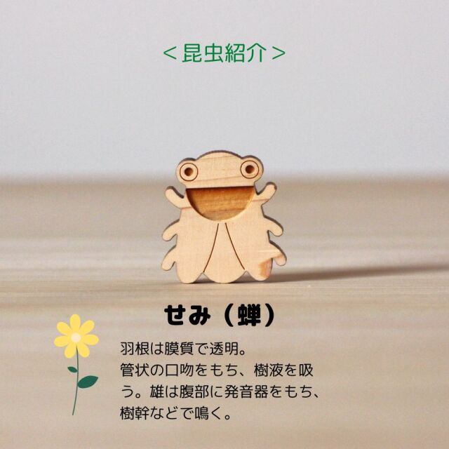 檜の昆虫パズル 木製玩具 つみき ゲーム プレゼント