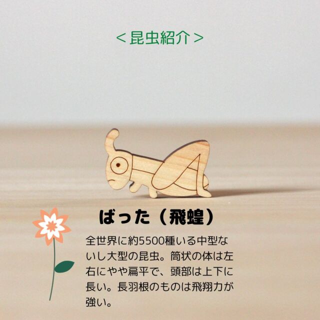 檜の昆虫パズル 木製玩具 つみき ゲーム プレゼント