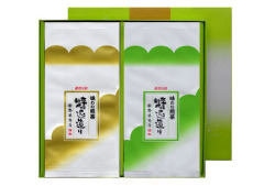 贈答用　上煎茶100g＋煎茶グリーン100g 詰合