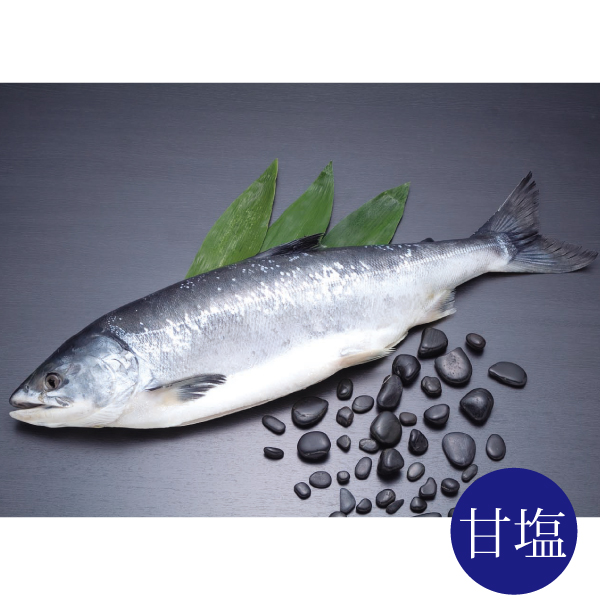 沖獲り時不知（焼用甘塩）一本物 （切身加工なし）　OT