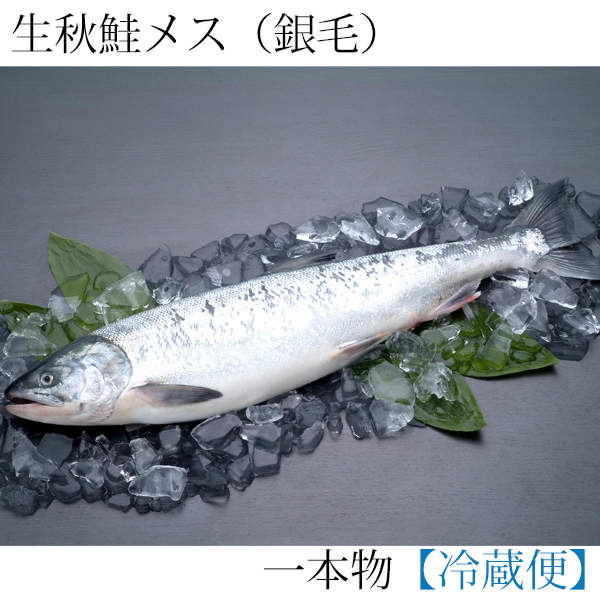 《受付10月中旬まで》生秋鮭一本物（銀毛メス) （切身加工なし）3.0kg～3.5kg　生筋子・いくらのたれ付　AM3035 <配達日ご指定・商品同梱不可>