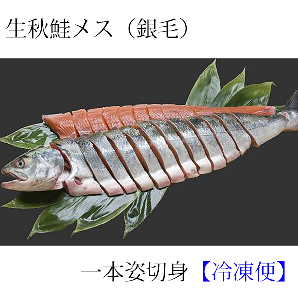 《受付10月中旬まで》生秋鮭姿切身(銀毛メス) 3.0kg～3.5kg　両面切身・いくら醤油漬付　AMG3035 <配達日ご指定不可>【生冷凍】