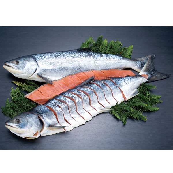 熟成焼用中辛 秋さけ　一本物 （切身加工なし）　AT