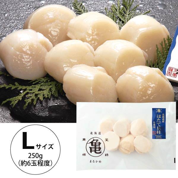 【北海道産】冷凍帆立貝柱 お刺身用 （Lサイズ ） 250g　 HOL25