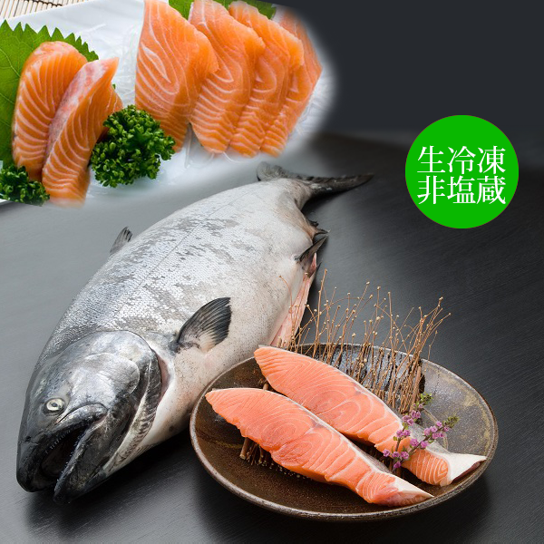 《10切限定》【北海道産】キングサーモン切身（生冷凍・非塩蔵） 切身 　KSOP13