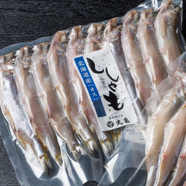 ≪セットがお買い得≫【北海道産】生干しししゃも （オス）　1串（10尾）　SMO18/SMO25
