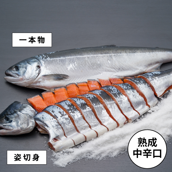 活〆時不知（熟成中辛）一本姿切身　2.0kg～3.7kg　TTG
