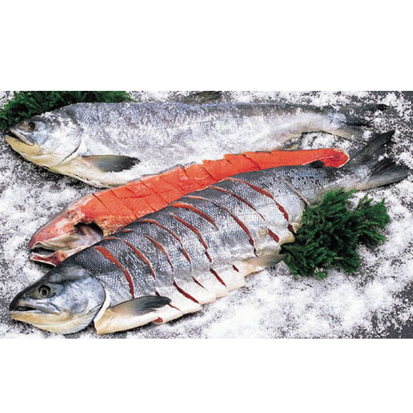 昔造り秋さけ熟成山漬(中辛口)一本姿切身  2.1kg～2.7kg　YTG21　YTG24　YTG27
