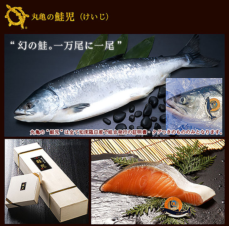 【残りわずか・・・】羅臼産 鮭児-ケイジ- (さしみ鮭仕込み)　切身1切/カマ1切　KSP81