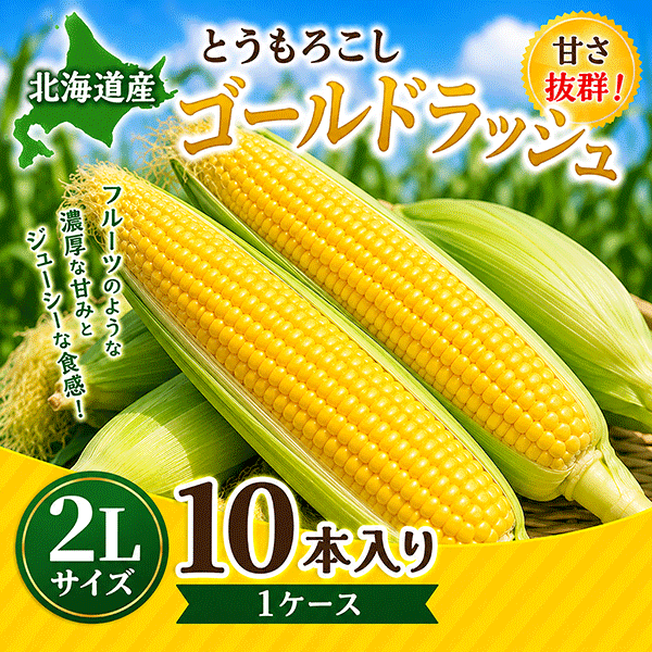 北海道産とうもろこし「ゴールドラッシュ」2Lサイズ 10本入り CG10Z（配送料込）〈配達日ご指定不可〉