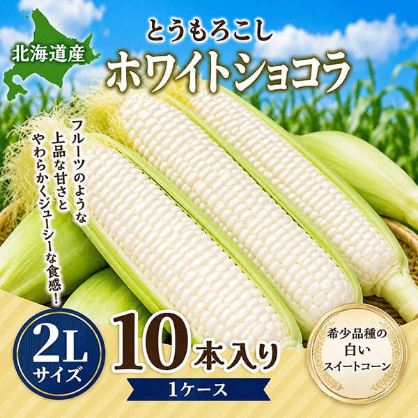 北海道産とうもろこし「ホワイトショコラ」2Lサイズ 10本入り CWS10Z(配送料込)〈配達日ご指定不可〉