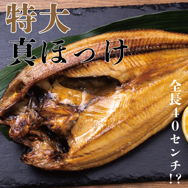 【特特大サイズ】北海道産　真ほっけ開き一夜干し 1枚(約700g)　GHKB70