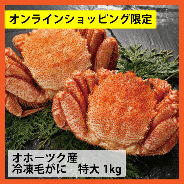 【5ハイ限定！】≪超特大！≫【オホーツク産】浜茹で毛がに（ボイル冷凍）約1kg 　KGF100