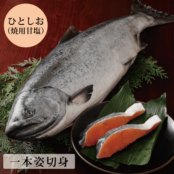 【北海道産】キングサーモン(焼用ひとしお) 一本姿切身　約4.2kg～4.9kg　KSHG