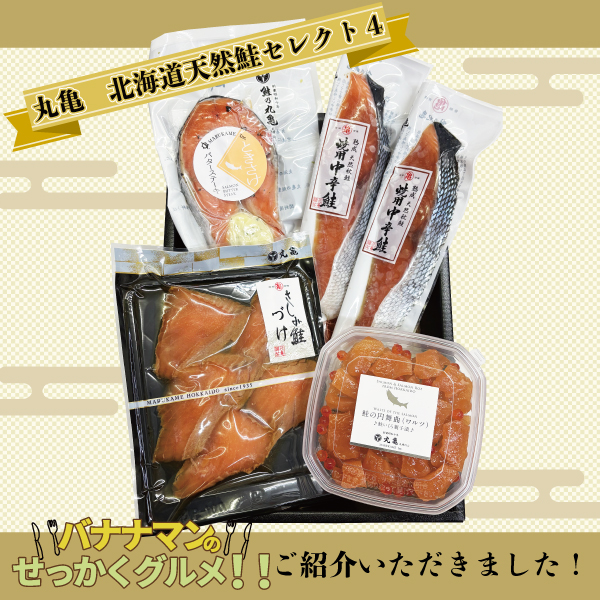 《1/4放送　TBS系 バナナマンのせっかくグルメ！！で ご紹介いただいた特別セット》丸亀　北海道天然鮭セレクト４　SEL202601