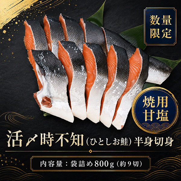 ＼円山本店人気商品　数量限定／活〆時不知(ひとしお鮭)半身切身〈袋詰〉800g（約9切）THF80