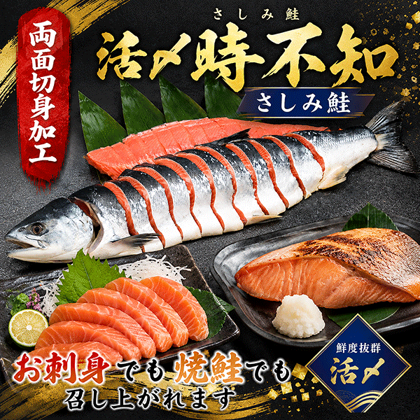 活〆時不知(さしみ鮭)一本姿切身（両面切身加工）1.9kg～3.8kg　TSG