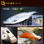 羅臼産鮭児～ケイジ～【数量限定】