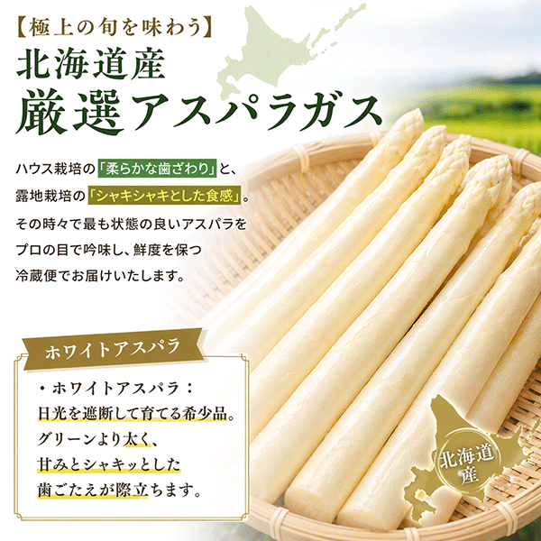 【ご予約承り中】北海道産のホワイトアスパラ（送料込）WHI【同梱不可/着日指定不可】