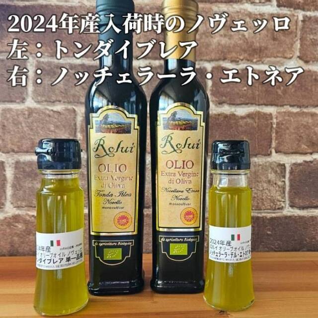 ロルイ オリーブオイル 2025年産 しぼりたて オリーブオイル トンダイブレア ノッチェラーラ エトネア オリーブの色
