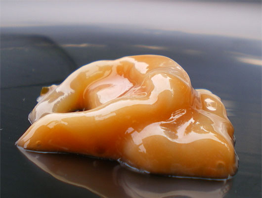 赤イカ入塩辛（超激辛）