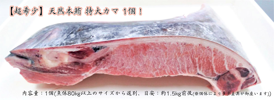 【超希少】 天然本鮪 特大カマ 1個！[加熱用]
