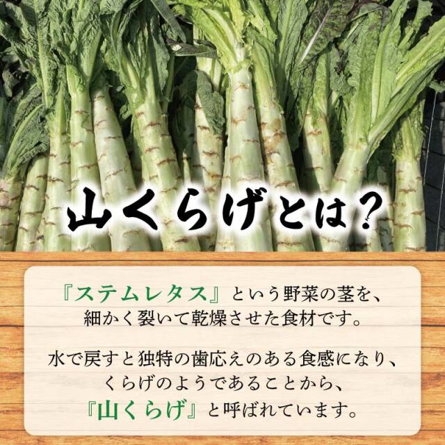 味付山くらげ_山くらげとは？