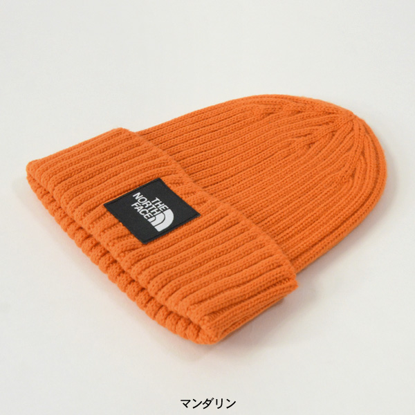 クーポン利用対象外】【送料無料】ザノースフェイス カプッチョリッド