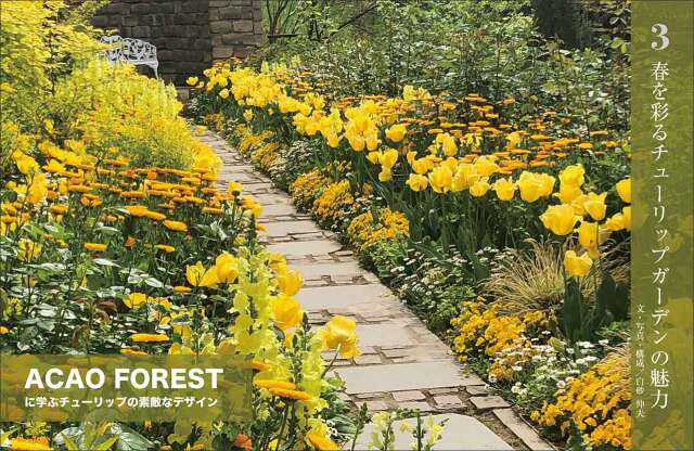 マイガーデン No.105