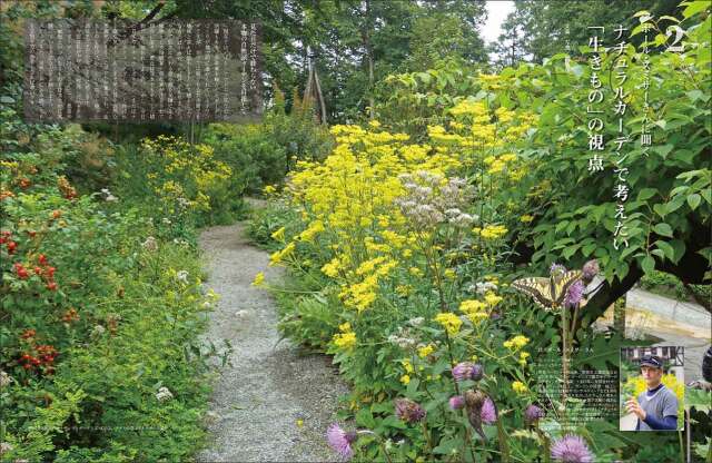 マイガーデン No.107