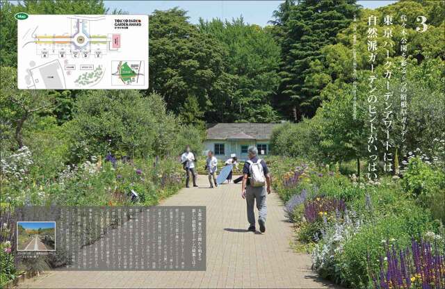 マイガーデン No.107