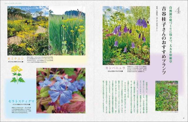 マイガーデン No.107