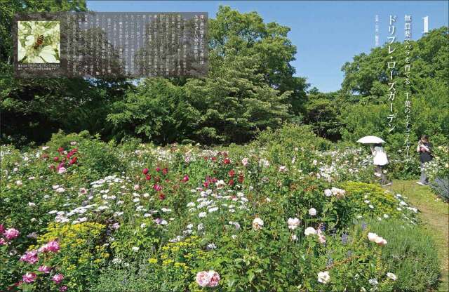 マイガーデン No.107