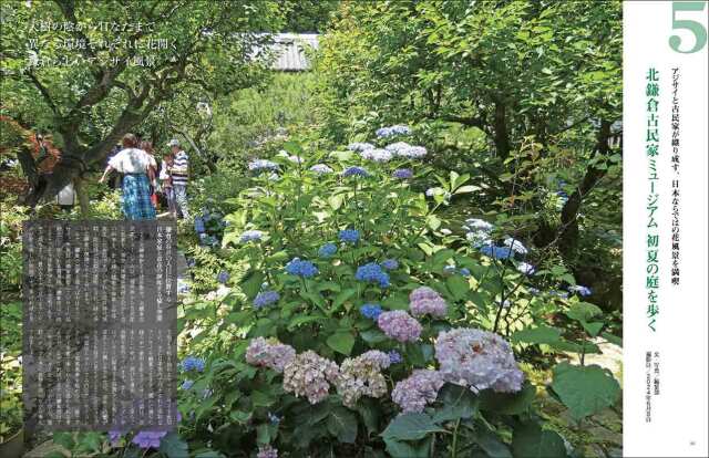 マイガーデン No.115