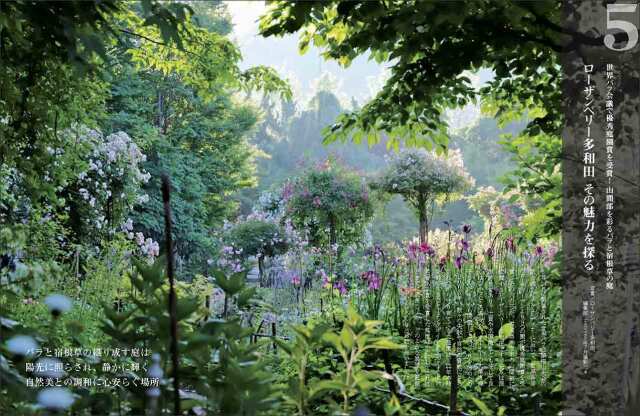 マルモページです＊ fit=scale-down,w=1200