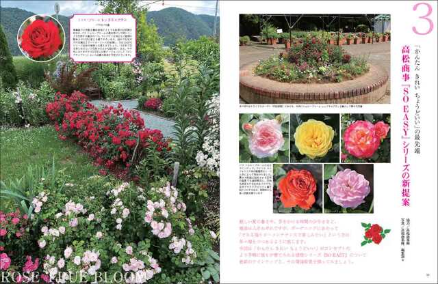 マイガーデン No.117