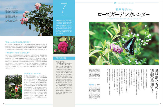 マイガーデン様 Amazon.co.jp: 住友化学園芸 肥料 マイガーデン植物全般用 1.2kg