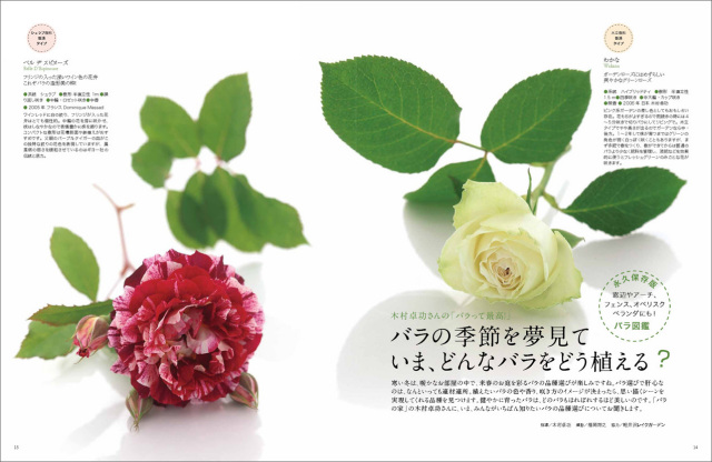 マイガーデン No.61