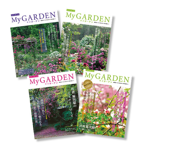 「佐倉草ぶえの丘バラ園の魅力を探る」連載セット