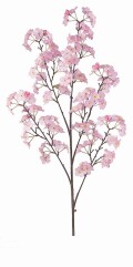 桜大枝