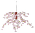 桜センター