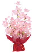 桜ラップアレンジ
