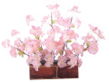 桜レンガアレンジ