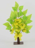 菜の花スタンド
