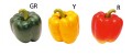 ジャンボピーマン