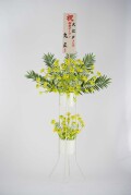 菜の花立花