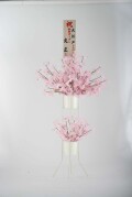 桜立花